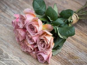ROSE CAFE LATTE 50